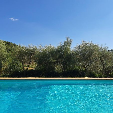 Agriturismo Poggio All'Olmo Villa Greve in Chianti Ngoại thất bức ảnh