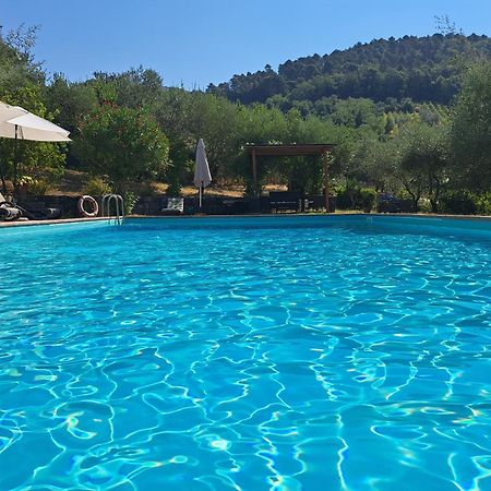 Agriturismo Poggio All'Olmo Villa Greve in Chianti Ngoại thất bức ảnh