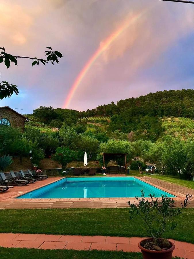 Agriturismo Poggio All'Olmo Villa Greve in Chianti Ngoại thất bức ảnh