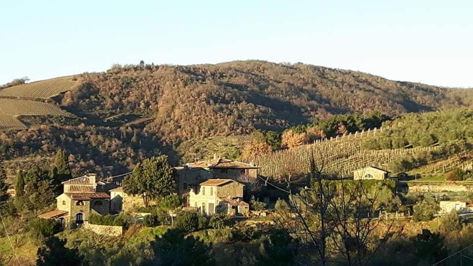 Agriturismo Poggio All'Olmo Villa Greve in Chianti Ngoại thất bức ảnh