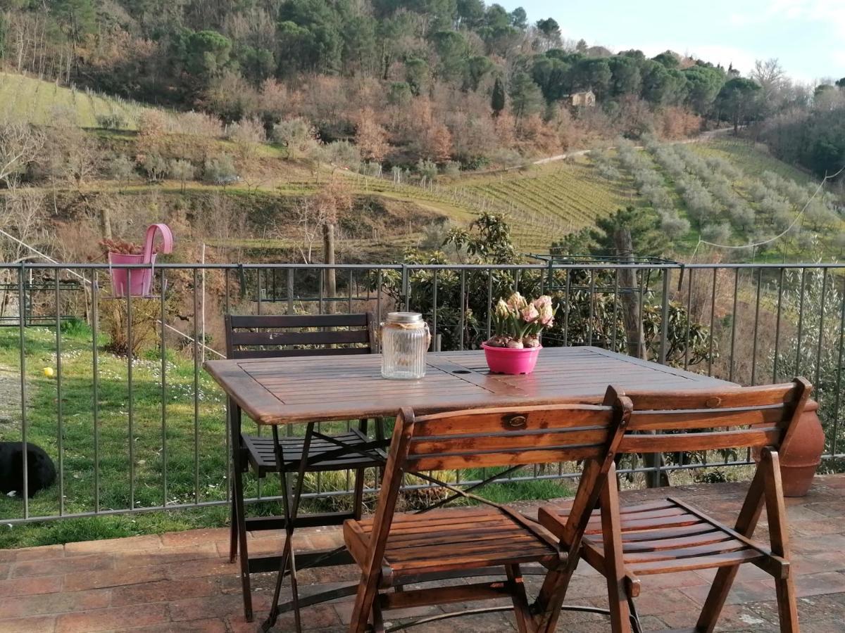 Agriturismo Poggio All'Olmo Villa Greve in Chianti Ngoại thất bức ảnh