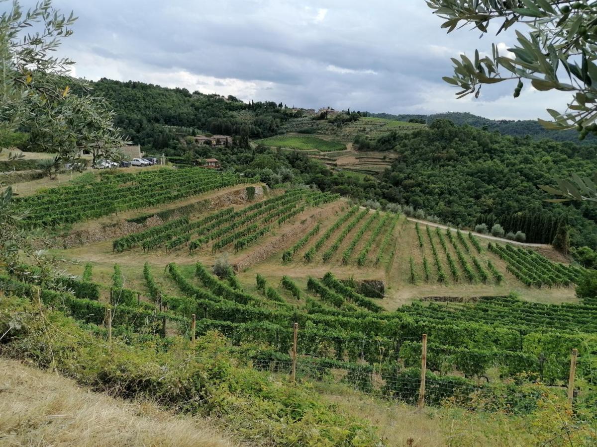 Agriturismo Poggio All'Olmo Villa Greve in Chianti Ngoại thất bức ảnh