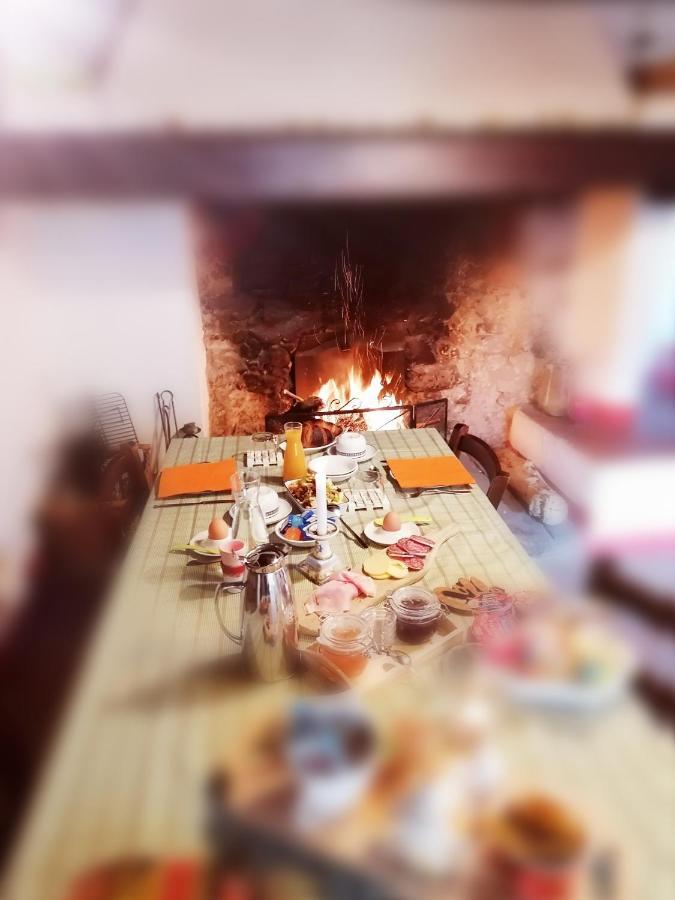 Agriturismo Poggio All'Olmo Villa Greve in Chianti Ngoại thất bức ảnh