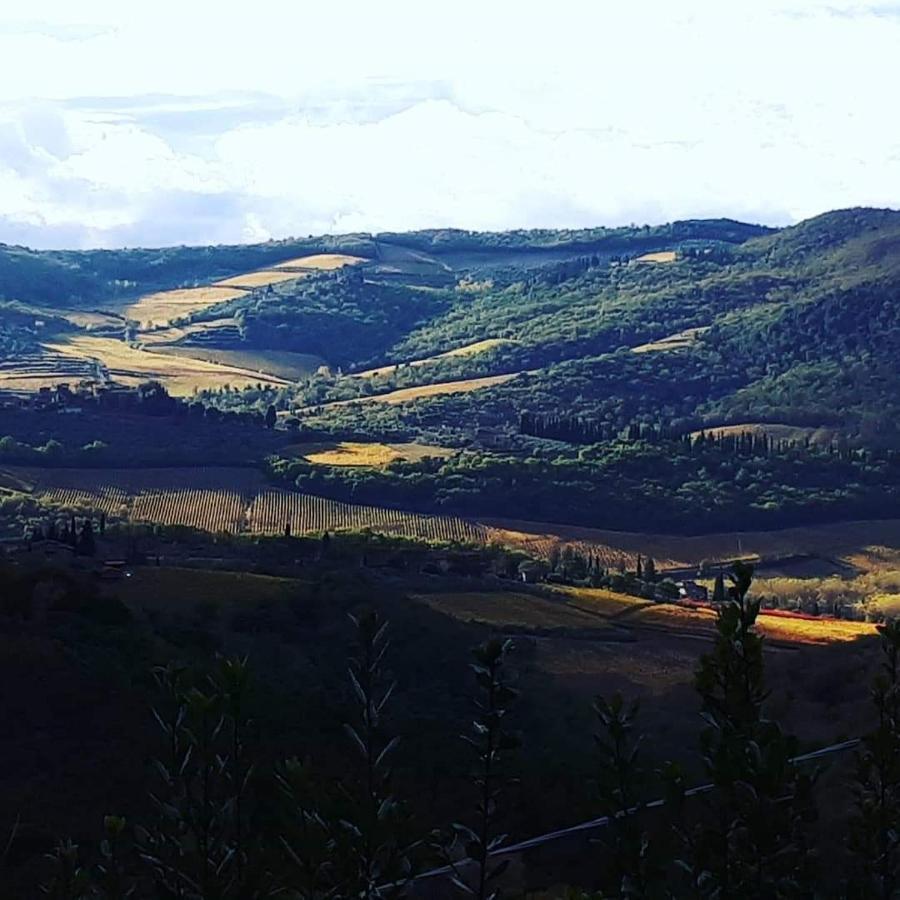 Agriturismo Poggio All'Olmo Villa Greve in Chianti Ngoại thất bức ảnh