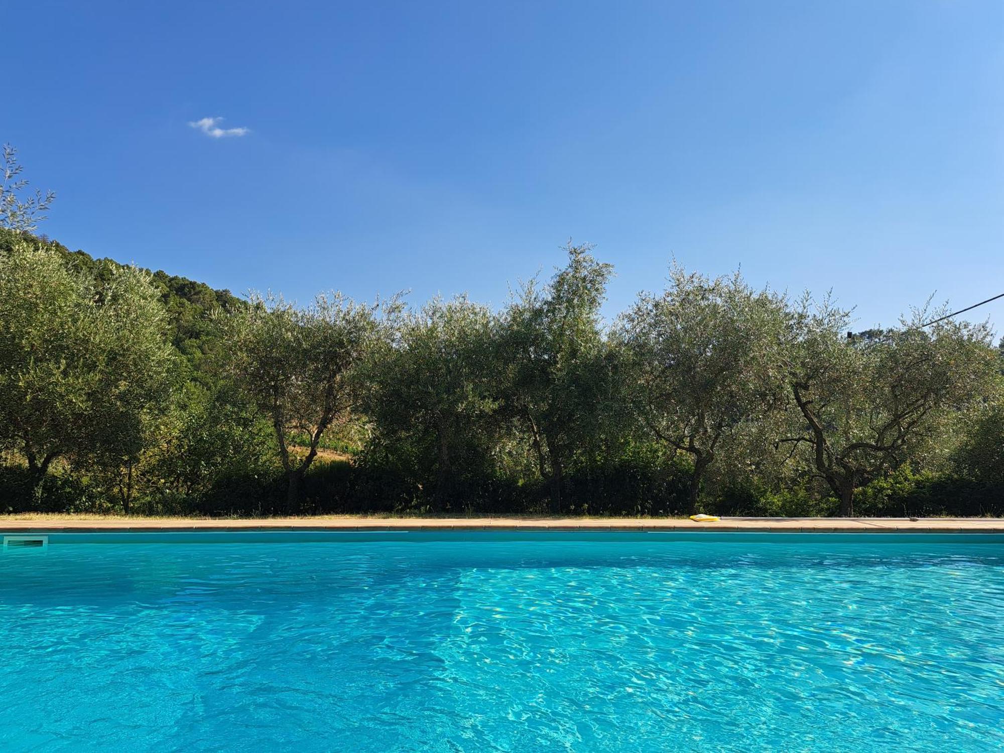 Agriturismo Poggio All'Olmo Villa Greve in Chianti Ngoại thất bức ảnh