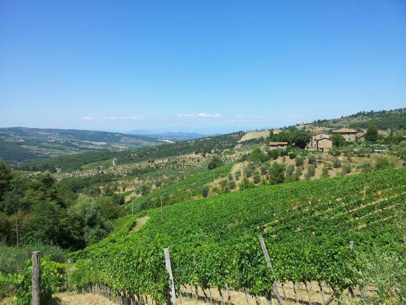 Agriturismo Poggio All'Olmo Villa Greve in Chianti Ngoại thất bức ảnh