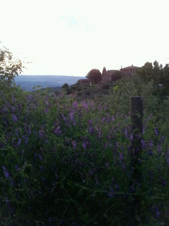 Agriturismo Poggio All'Olmo Villa Greve in Chianti Ngoại thất bức ảnh