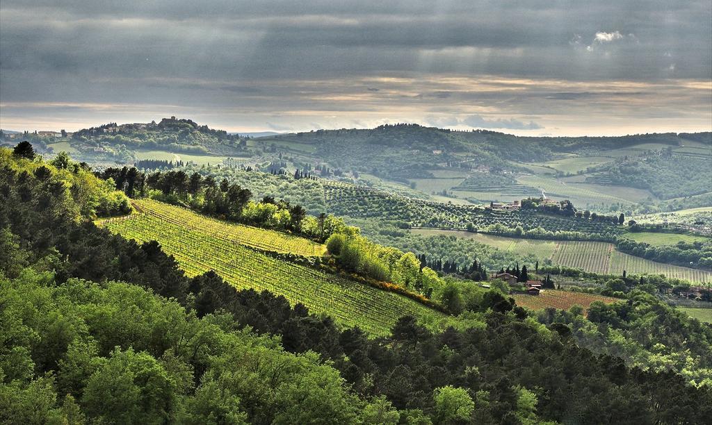 Agriturismo Poggio All'Olmo Villa Greve in Chianti Ngoại thất bức ảnh