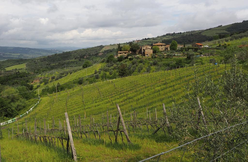 Agriturismo Poggio All'Olmo Villa Greve in Chianti Ngoại thất bức ảnh