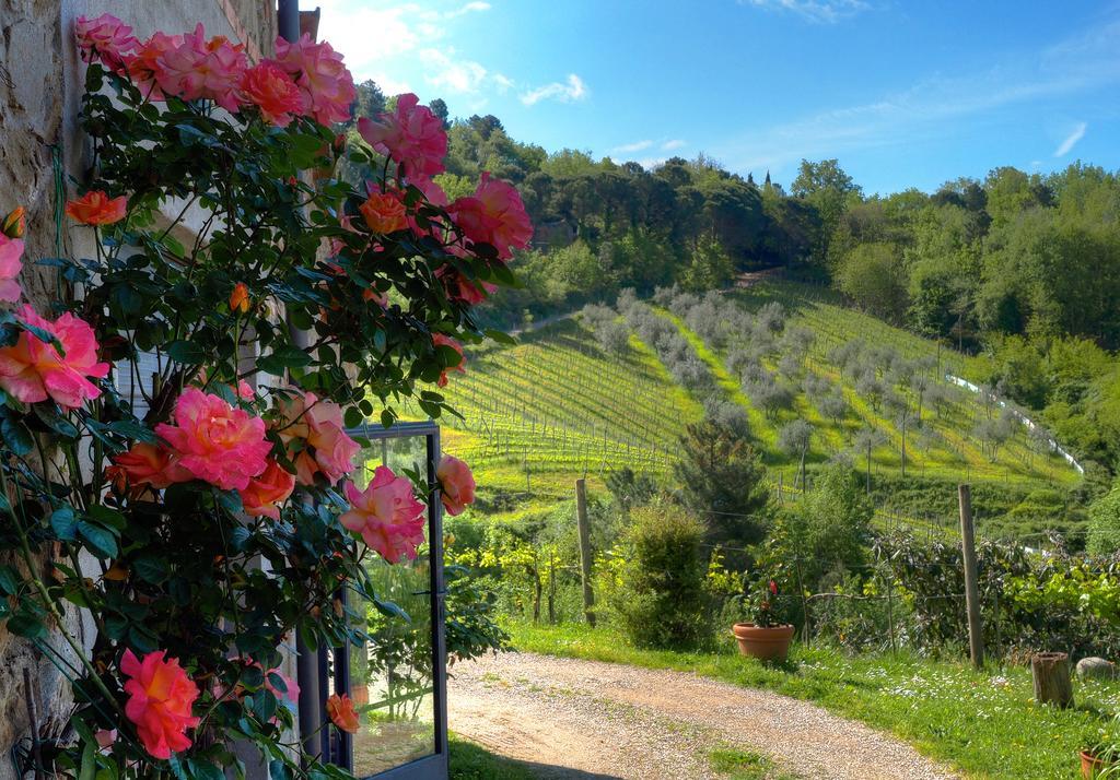 Agriturismo Poggio All'Olmo Villa Greve in Chianti Ngoại thất bức ảnh