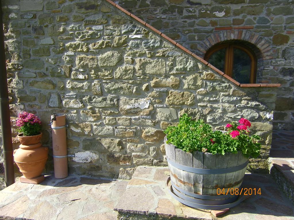 Agriturismo Poggio All'Olmo Villa Greve in Chianti Ngoại thất bức ảnh