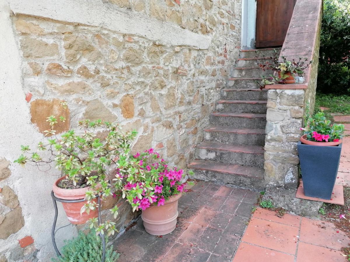 Agriturismo Poggio All'Olmo Villa Greve in Chianti Ngoại thất bức ảnh
